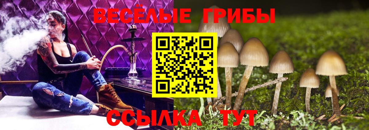 Галлюциногенные грибы GOLDEN TEACHER  Псилоцибиновые грибы ЛСД  Махачкала  Вход с VPN 
