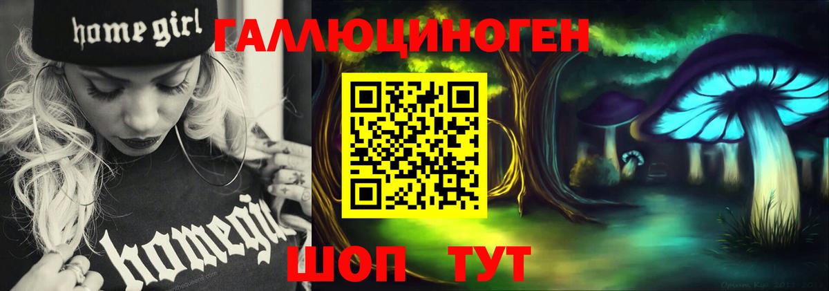 Псилоцибиновые грибы Psilocybe Махачкала